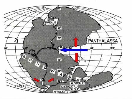 Figure 1: Place de la Tunisie dans la Pangée entre 250 et 145 Ma