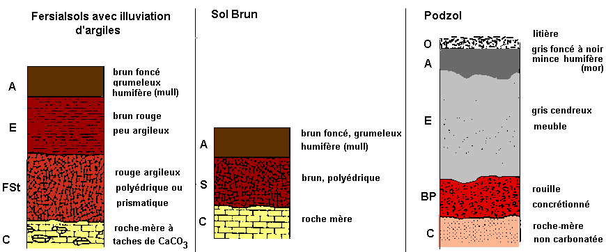 Figure 1: Quelques profils pédologiques