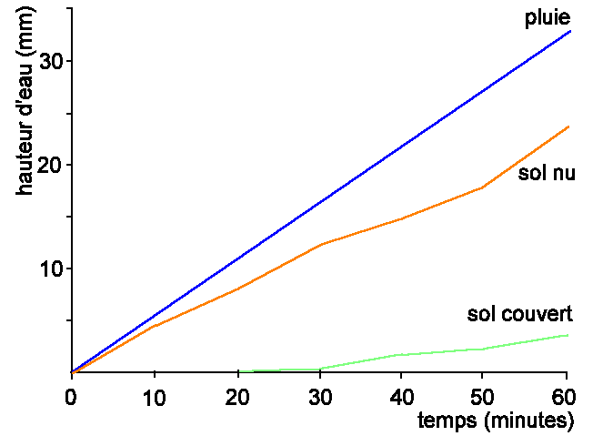 Figure 1: Rôle de la couverture végétale sur le ruissellement