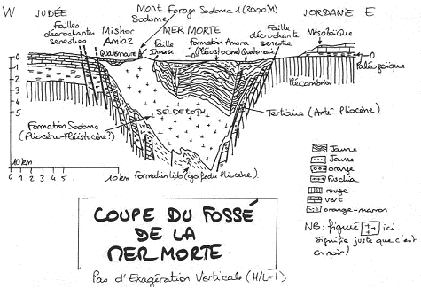 Coupe du fossé de la mer morte