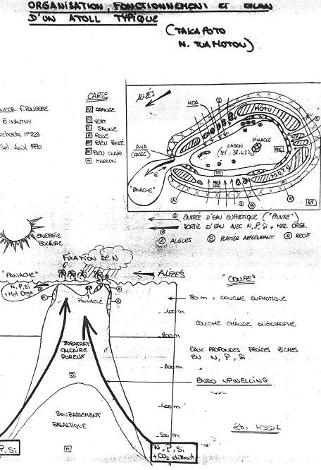 Équilibre d'un atoll
