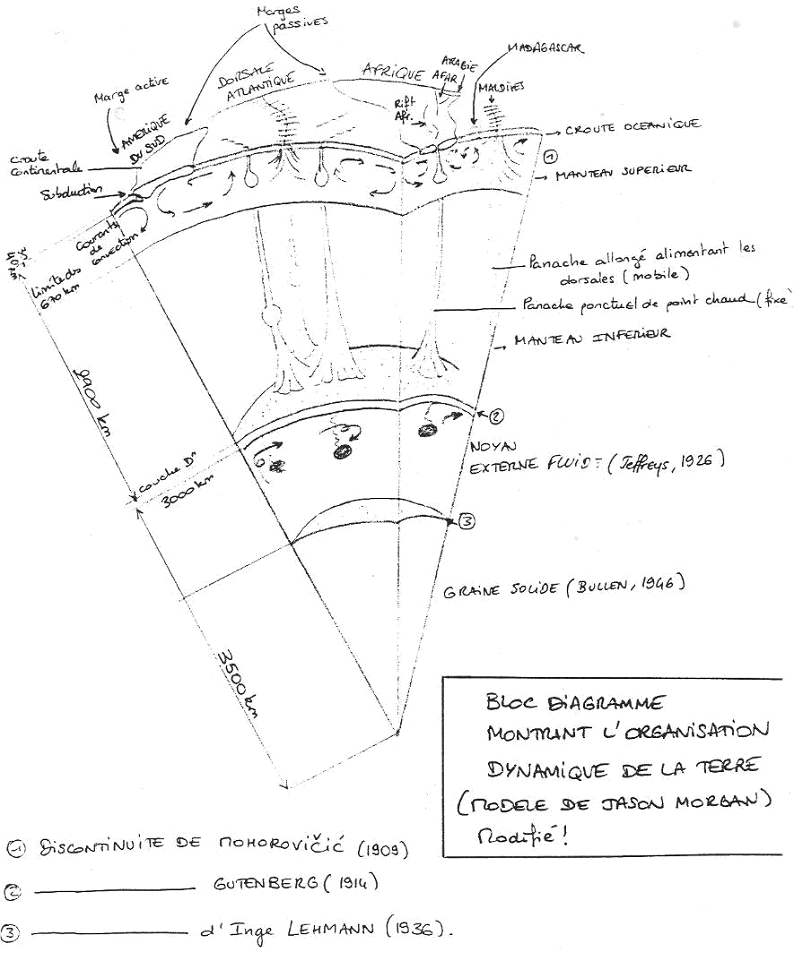 L'organisation dynamique de la Terre