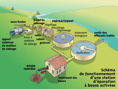 Figure 4: Principe des traitements dans une STEP à boues activées
