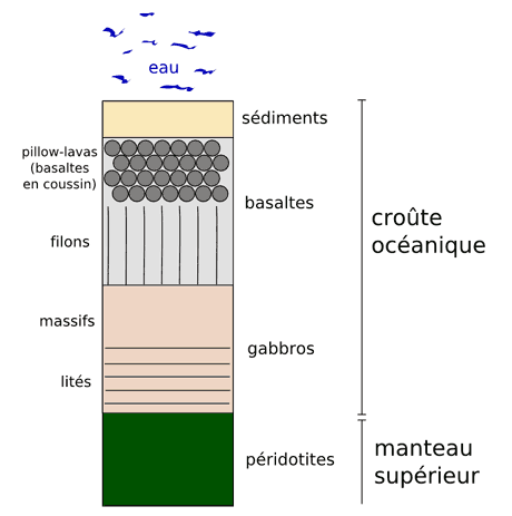 Coupe de lithosphère océanique