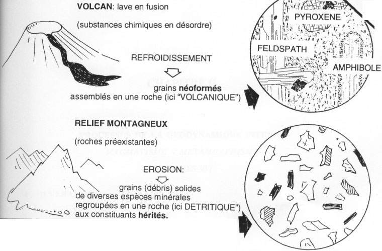 Grains néoformés