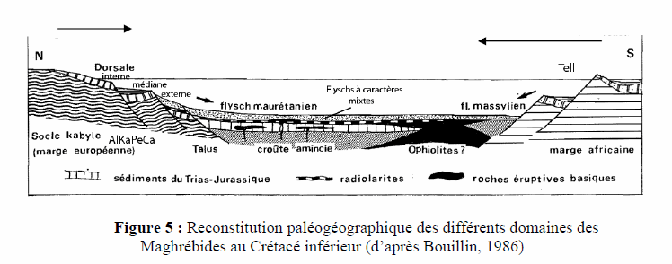 Figure 5: Reconstitution paléogéographique des différents domaines des Maghrébides du Crétacé inférieur