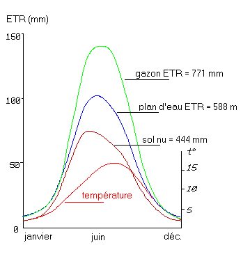 Figure 1: Evapo-Transpiration Réelle mesurée sur des parcelles aux Pays-Bas (d'après Lambert, 1996)