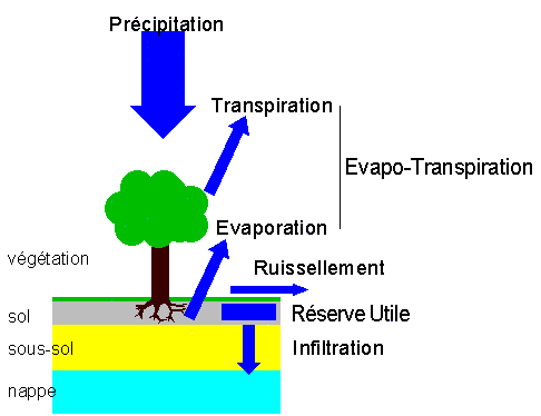 Figure 4: place de l'eau du sol dans le cycle de l'eau