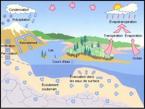Figure 1: Le cycle de l'eau