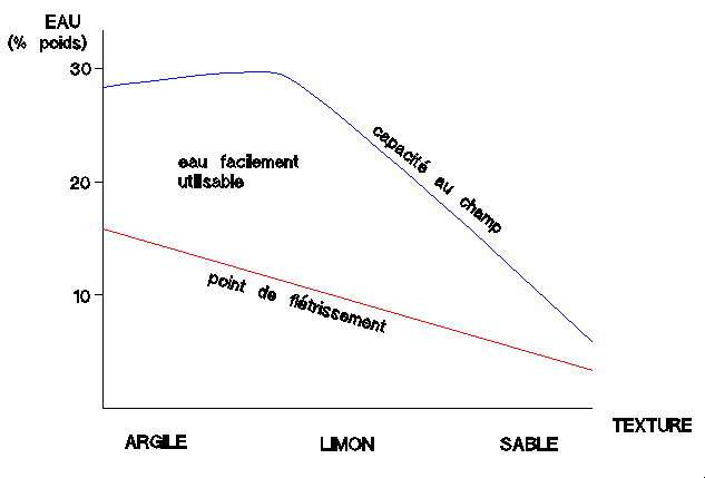 Figure 2a: Eau contenue dans le sol selon sa texture (d'après Duchaufour)