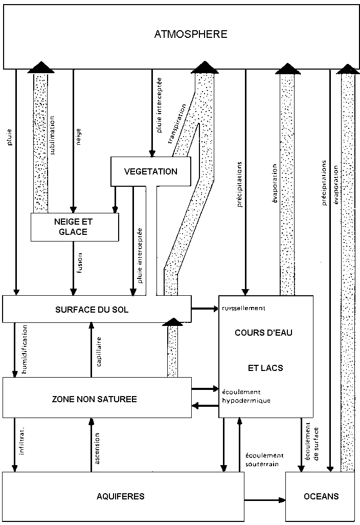 Cycle hydrologique (d'après EAGLESON in DE MARSILLY)