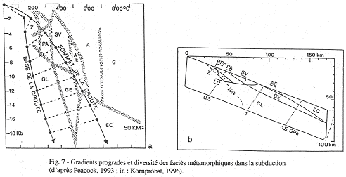 Gradient progrades et diversités des faciès métamorphiques dans la subduction (d'après Peacock 1993 ; in : Kornprobst 1996)