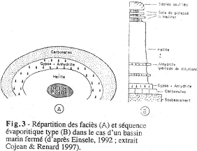 Répartition des faciès