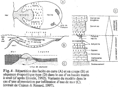 Répartition des faciès