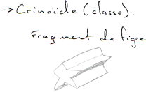 Crinoidea