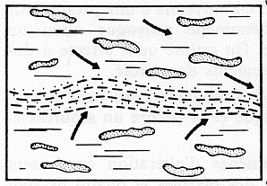 Figure 1: Etape 1 de l'évolution du kérogène, au début de la pyrolyse : chaque petit filet de kérogène produit de l'eau qui est parfois expulsée sous l'effet de la pression des couches situées au-dessus du sédiment
