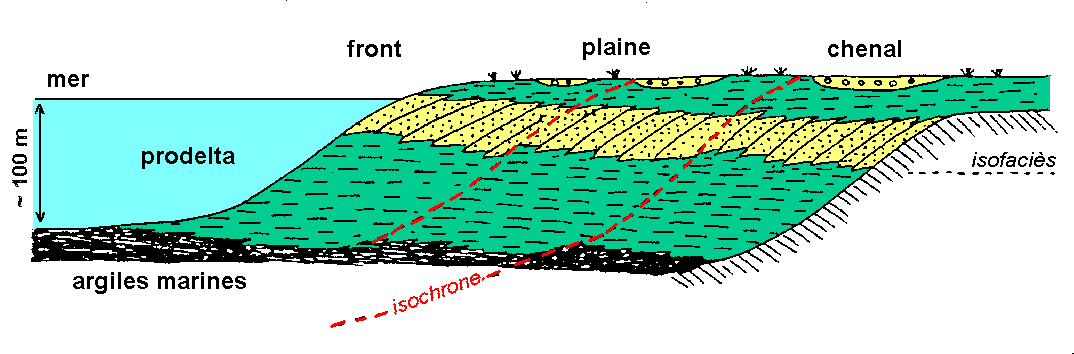 Figure 4: Progradation des faciès deltaïques sur une plate-forme