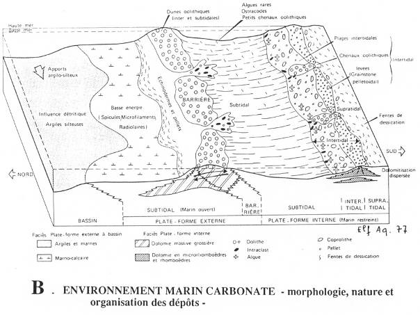 Environnement marin carbonate
