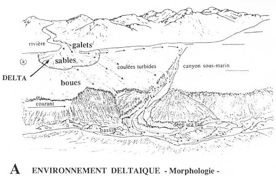 Environnement deltique