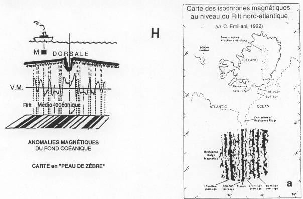 Carte en peau de zèbre