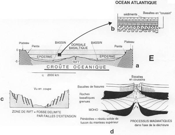 Croute océanique