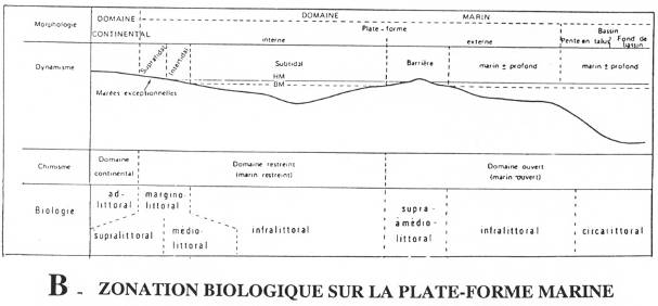 Zonation biologique sur la plate-forme marine