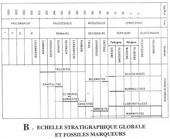 Échelle stratigraphique globale et fossiles marqueurs
