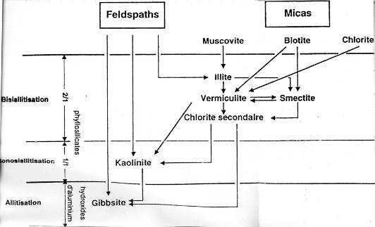 Altération du feldspath