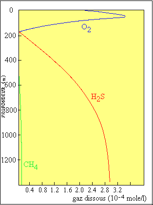 Figure 3: Teneur en gaz dissous dans la Mer Noire. La teneur en O2 décroit avec la profondeur; elle est nulle au-delà de 200 m; sa diminution à la surface est due au métabolisme du plancton. Le sulfure d'hydrogène et le méthane sont produit par la décomposition bactérienne de la matière organique des sédiments du fond