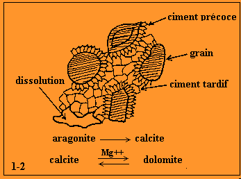 Figure 2: Diagénèse des roches carbonatées