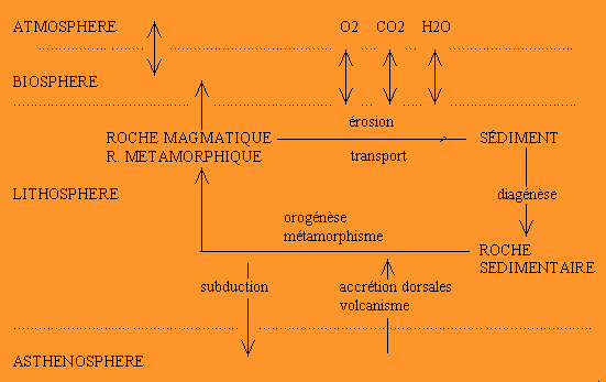 Figure 4: Mouvement de matière au niveau de l'écorce