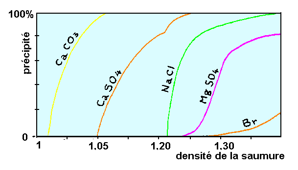 Figure 1: masse de sels précipitée dans une saumure en cours d'évaporation