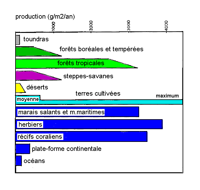 Figure 2: Productions annuelles comparées de matière organique dans divers milieux