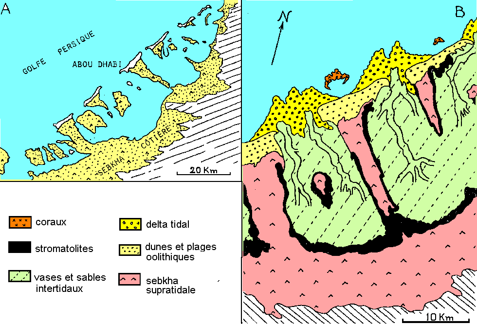 Figure 5: (A) la "Côte des Pirates" au sud du Golfe Persique. (B) détail: la lagune et la sebkha d'Abu Dhabi