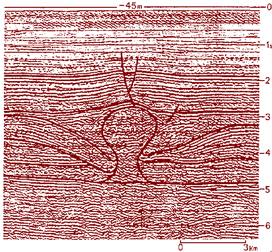 Figure 8: Diapir de sel du Zeichstein en Mer du Nord (image sismique)