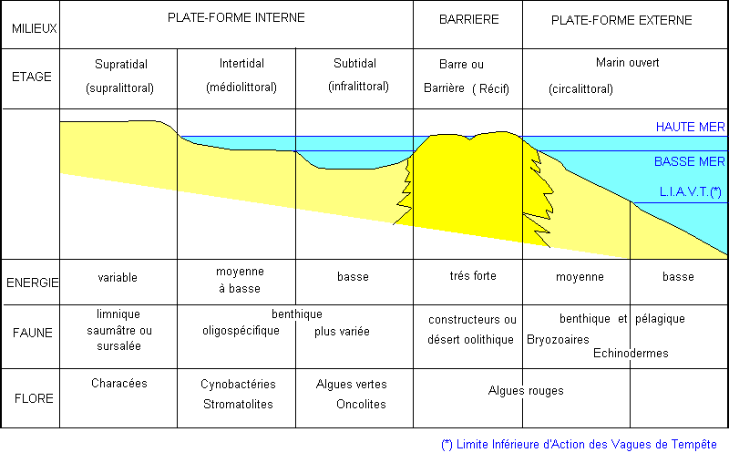 Figure 1: zonation d'un littoral à sédimentation carbonatée