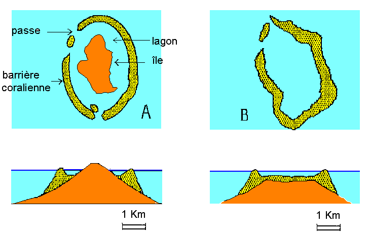 Figure 2: Formation d'un atoll. (A) cas actuel de l'île d'Uvea ; (B) cas de l'île de Tongareva (Polynésie).