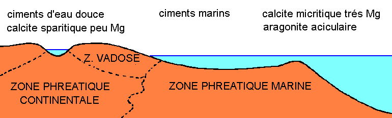 Figure 3: Diagénèse des sédiments carbonatés dans les principaux milieux littoraux