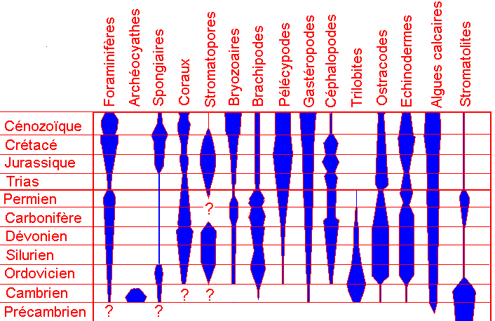 Figure 5: Principaux groupes fournissant des grains squelettiques