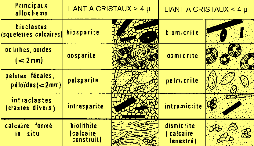 Figure 6: Classification de Folk