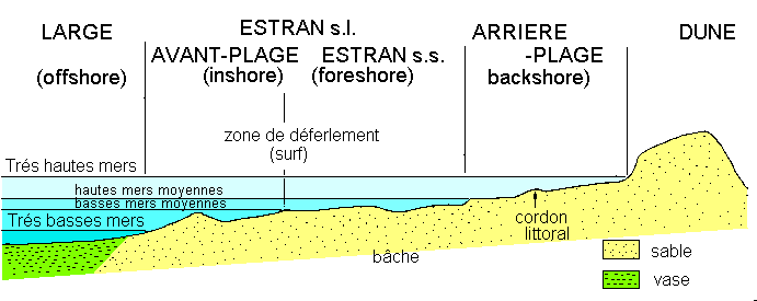 Figure 1: zonation des milieux littoraux néritiques