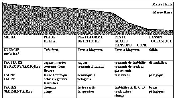 Figure 11: Paramètres sédimentologiques et faciès sur une marge passive