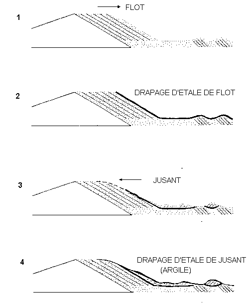 Figure 4: Formation classique des couplets de marée dans un chenal: alternance d'une maine grossière de flot et d'une lamine fine de jusant
