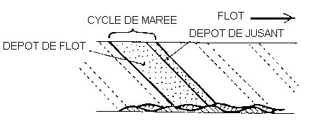 Figure 5: disposition des couplets de marées dans un chenal tidal