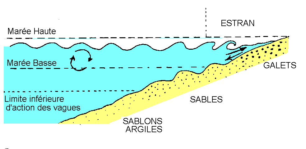 Figure 3: Répartition des éléments détritiques sur une plage en fonction de l'hydrodynamisme
