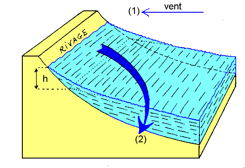 Figure 6: Formation d'un courant géostrophique induit par la tempête. (1) le vent souffle en direction de la côte; (2) il cesse et l'eau reflue en profondeur