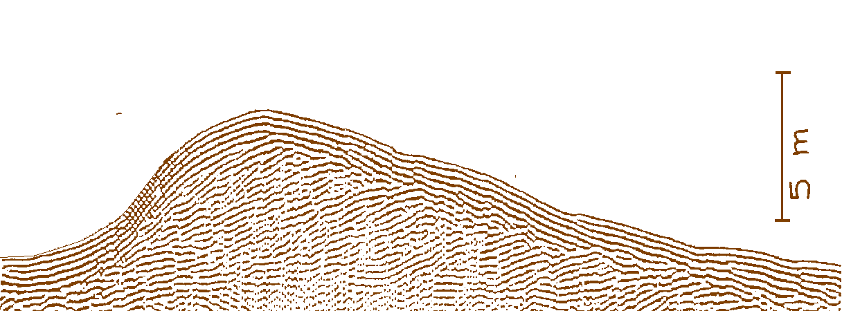 Figure 8: Structure interne d'une vague sableuse (image sismique)