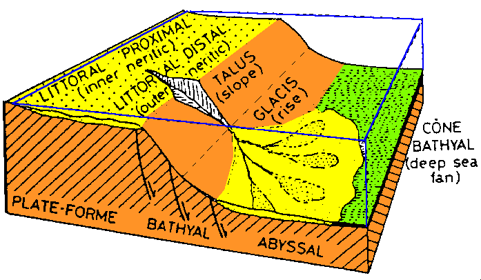 Figure 1: Morphologie d'une marge continentale passive