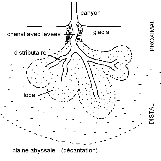 Figure 3: Structure d'un cône sous-marin profond