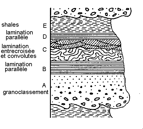 Figure 4: Séquence de Bouma